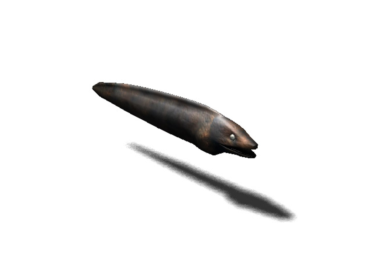 3d rigged sea animals https://p.turbosquid.com/ts-thumb/iA/t1ALqr/1XoGb5Uf/moray_eel/jpg/1403768558/1920x1080/fit_q87/866f2652ac11669a39472bf3d69150f722542af9/moray_eel.jpg