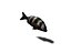 Rigged Sea Animals