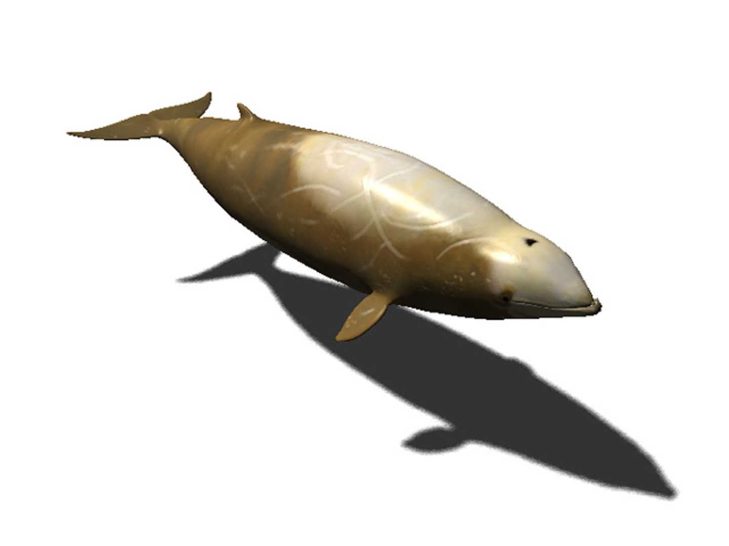 3d rigged sea animals https://p.turbosquid.com/ts-thumb/iA/t1ALqr/LPYH2e6e/cuvier_beaked_whale/jpg/1403768558/1920x1080/fit_q87/5e2430e44f901204ed9a17c6b6645aaf3de84ff8/cuvier_beaked_whale.jpg