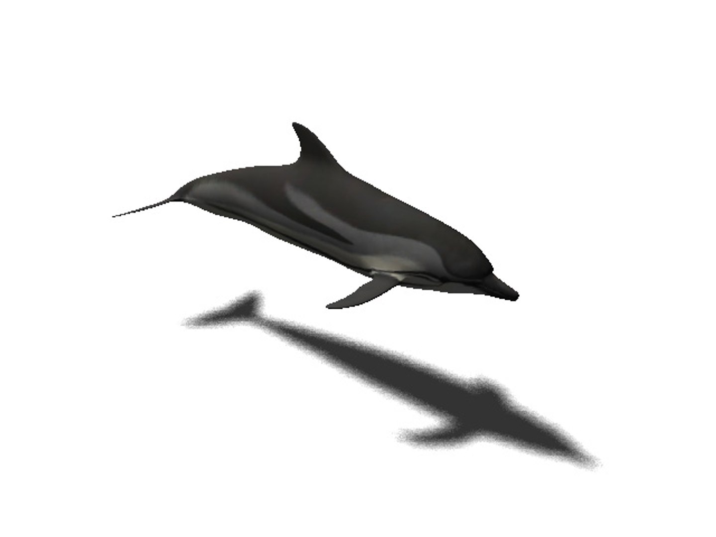 3d rigged sea animals https://p.turbosquid.com/ts-thumb/iA/t1ALqr/ajGnRskp/striped_dolphin/jpg/1403768559/1920x1080/fit_q87/73f564fd745ddd49dc4da87e3c4c41980cc19cfc/striped_dolphin.jpg