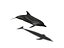 Rigged Sea Animals
