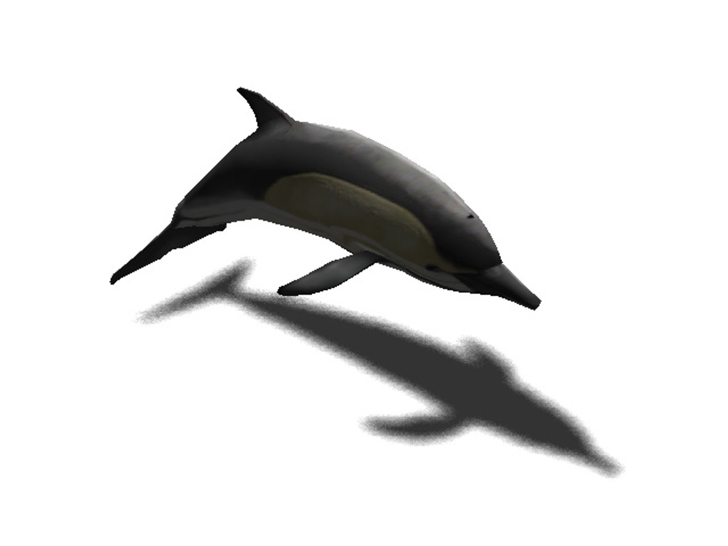 3d rigged sea animals https://p.turbosquid.com/ts-thumb/iA/t1ALqr/dWhqdmRT/common_dolphin/jpg/1403768558/1920x1080/fit_q87/e511cfcec4879602855d5e86a155c47e0b2a08ca/common_dolphin.jpg