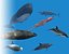 Rigged Sea Animals