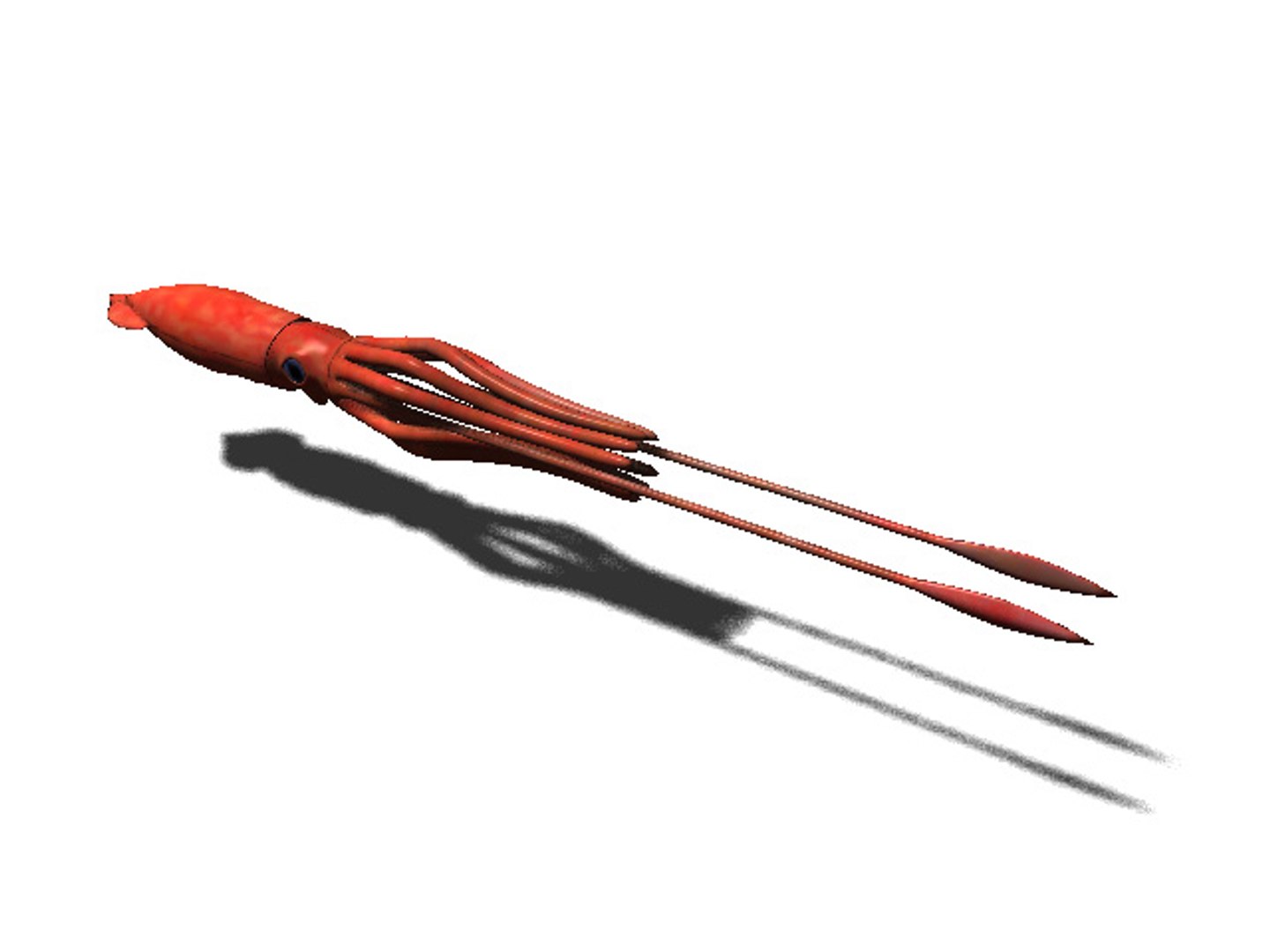 3d rigged sea animals https://p.turbosquid.com/ts-thumb/iA/t1ALqr/sSRapxFm/squid/jpg/1403768558/1920x1080/fit_q87/ab7d98d3d3dad8d9f175be087acf514eab85fdf8/squid.jpg
