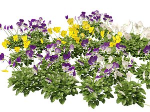 HighpolyLow Poly Viola cornuta - horned violet 3D