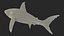 Great White Shark Fish Rigged model