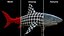 Great White Shark Fish Rigged model