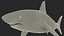 Great White Shark Fish Rigged model