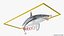 Great White Shark Fish Rigged model