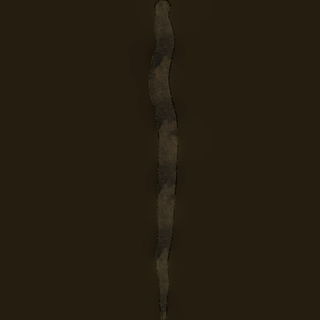 Gold-Silver Snake Wall Art model https://p.turbosquid.com/ts-thumb/iA/w42p3o/q7/uvw_011/jpg/1660364588/1920x1080/fit_q87/910c64f446d4c11f21615ea4d9fc34051754a048/uvw_011.jpg