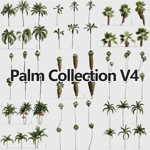 3D Palm Collection V4 model