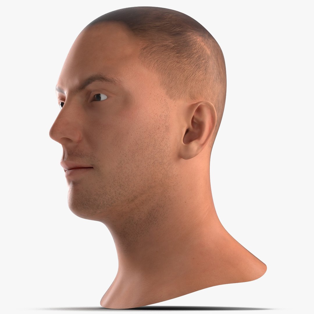 European Male Head 3D model preview