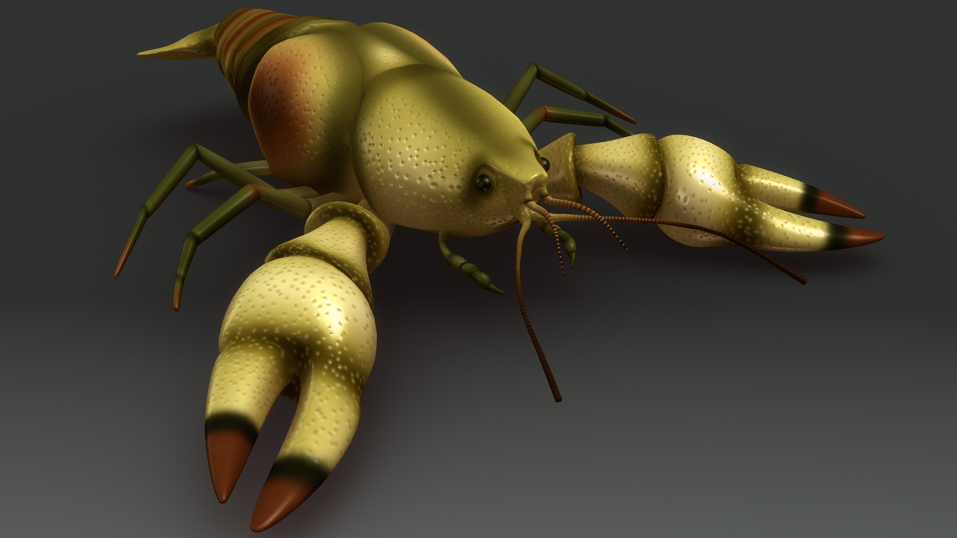 obj astacus crayfish https://p.turbosquid.com/ts-thumb/iB/29o7Du/4si8tWHr/b0353astacus_aerial.0001/jpg/1480507797/1920x1080/fit_q87/e1aea0fa5174cfe342e9fb6e7b0c9e482146df0a/b0353astacus_aerial.0001.jpg