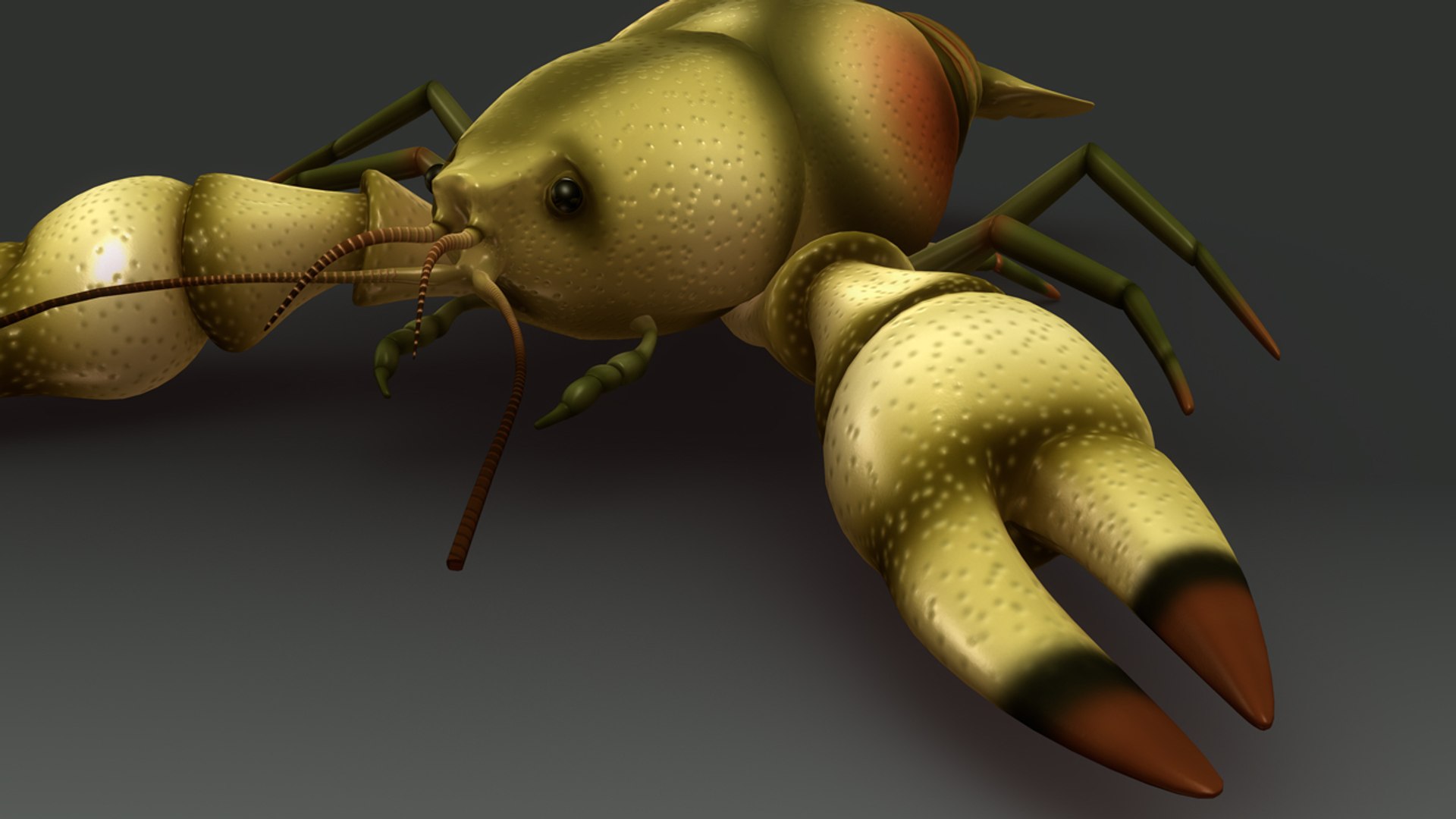 obj astacus crayfish https://p.turbosquid.com/ts-thumb/iB/29o7Du/95ynNpU3/b0353astacus_perspective.0001/jpg/1480507797/1920x1080/fit_q87/c0cfff84aed14d84e5cb44686dffad777d712cfa/b0353astacus_perspective.0001.jpg