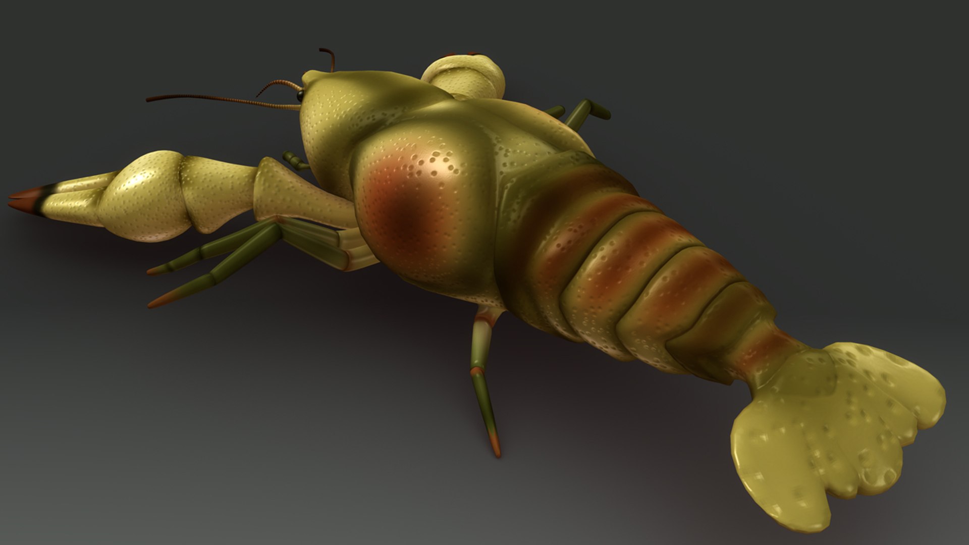 obj astacus crayfish https://p.turbosquid.com/ts-thumb/iB/29o7Du/wNQJwGse/b0353astacus_back.0001/jpg/1480507797/1920x1080/fit_q87/f0665c14f6c888f85342815379a714559c9d1a9b/b0353astacus_back.0001.jpg