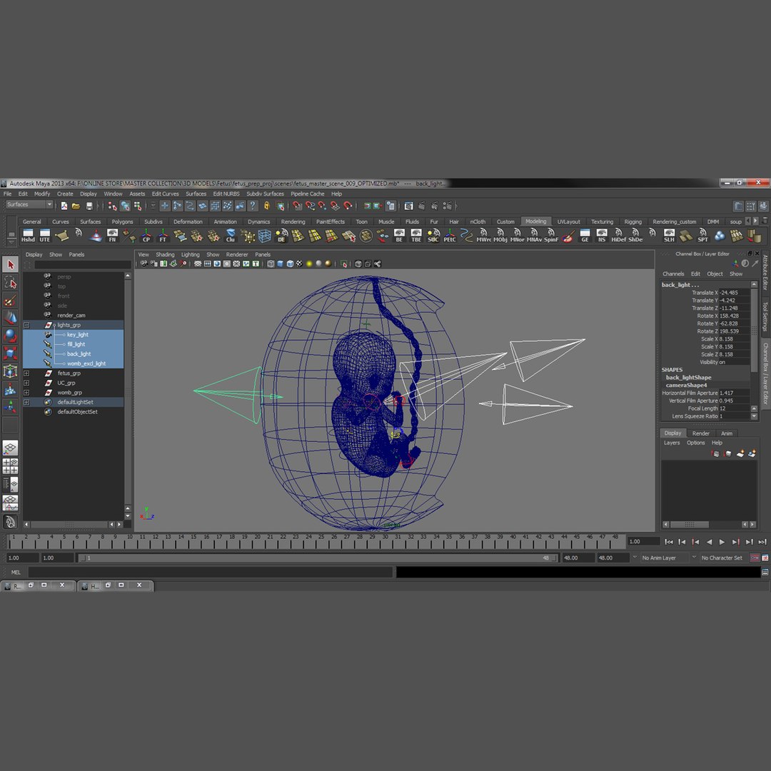 Rigged Fetus 3d Obj