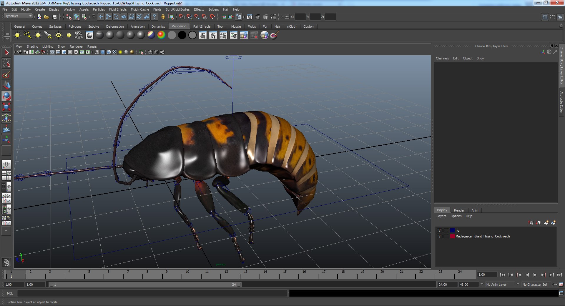 3D cockroaches rigged model - TurboSquid 1519389