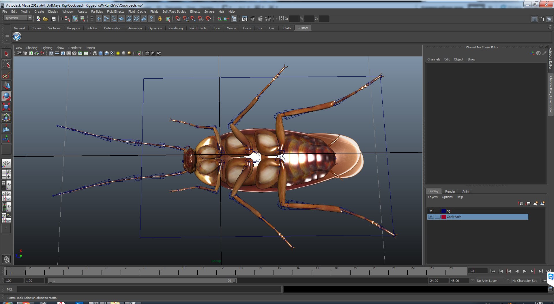 3D cockroaches rigged model - TurboSquid 1519389
