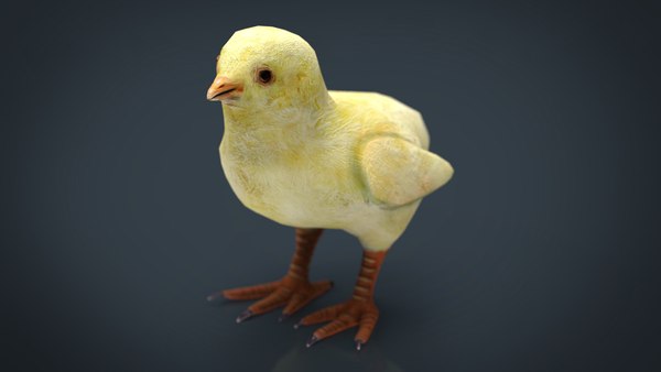 chick baby chicken 3d model