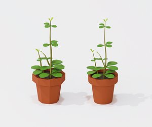 3D Cartoon indoor plant model