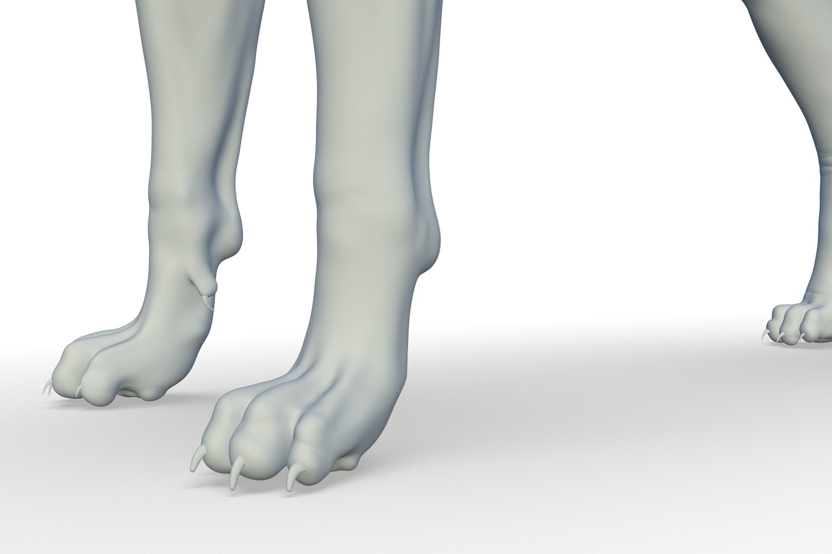 3D Border Collie https://p.turbosquid.com/ts-thumb/iB/hu1om4/1h/render_19/jpg/1712494447/1920x1080/fit_q87/bf13058d4ae35e0aef84903ad2f5fa6861fea48b/render_19.jpg