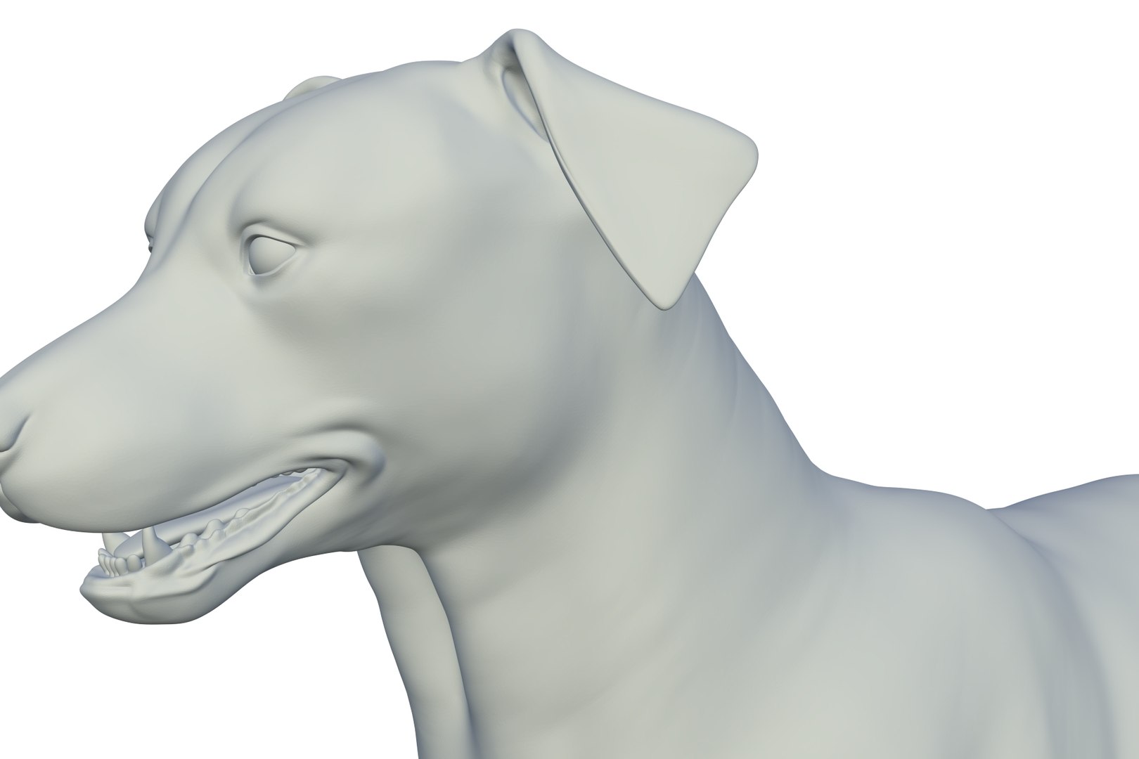 3D Border Collie https://p.turbosquid.com/ts-thumb/iB/hu1om4/4X/render_14/jpg/1712494444/1920x1080/fit_q87/df11d55beca3222975053e953b8d0acbdde8c23d/render_14.jpg