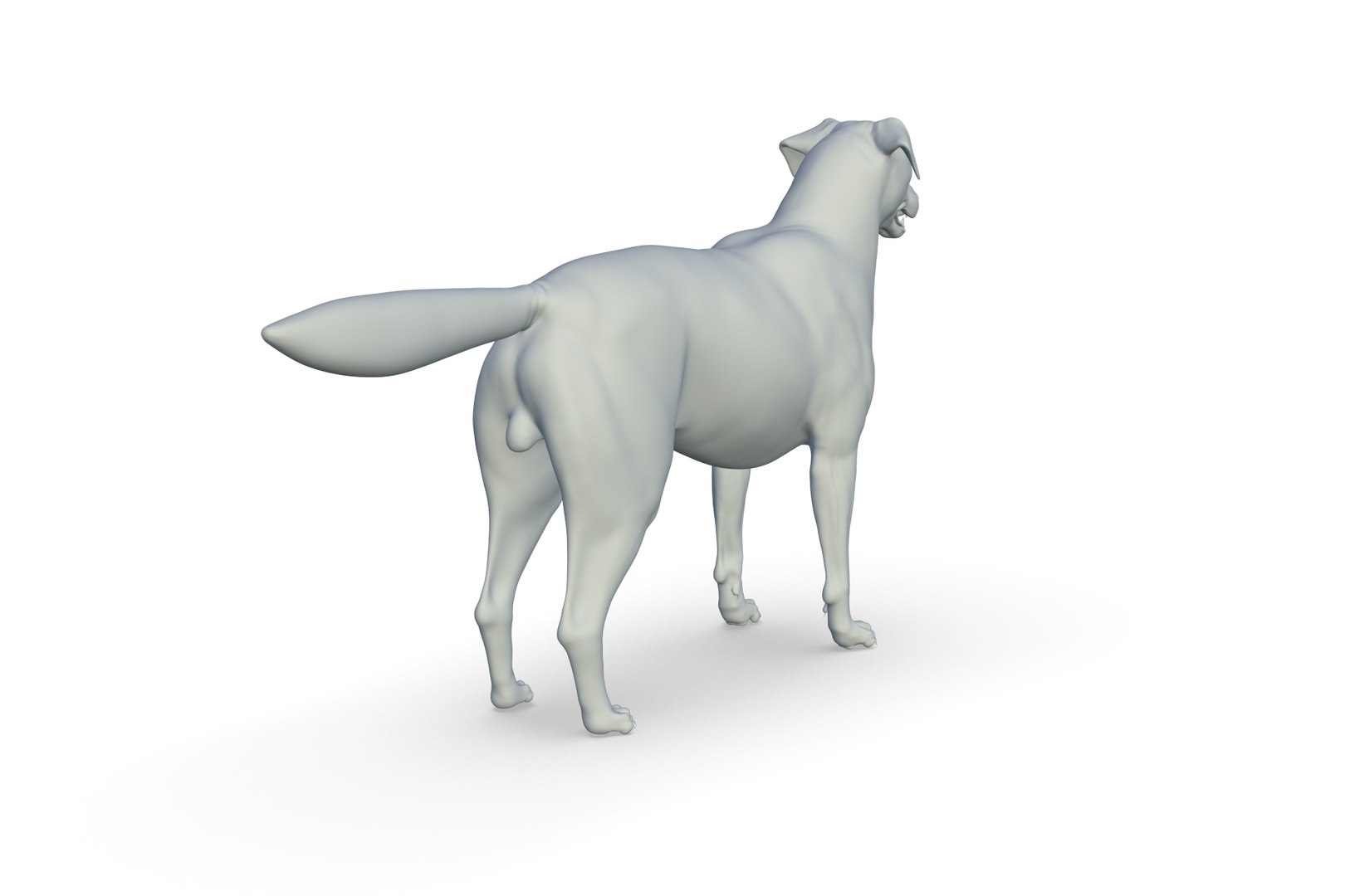 3D Border Collie https://p.turbosquid.com/ts-thumb/iB/hu1om4/4p/render_07/jpg/1712494439/1920x1080/fit_q87/8db822b399d5dbcc5ae4564eff294f73ab5d83a3/render_07.jpg