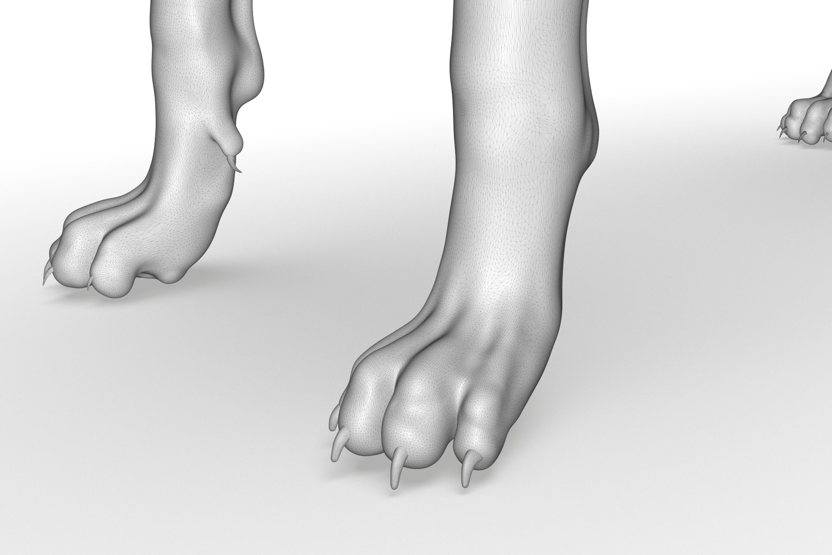 3D Border Collie https://p.turbosquid.com/ts-thumb/iB/hu1om4/9V/render_23/jpg/1712494451/1920x1080/fit_q87/4b10cc6724c6eed5971d0ab78e3ba09e63054482/render_23.jpg