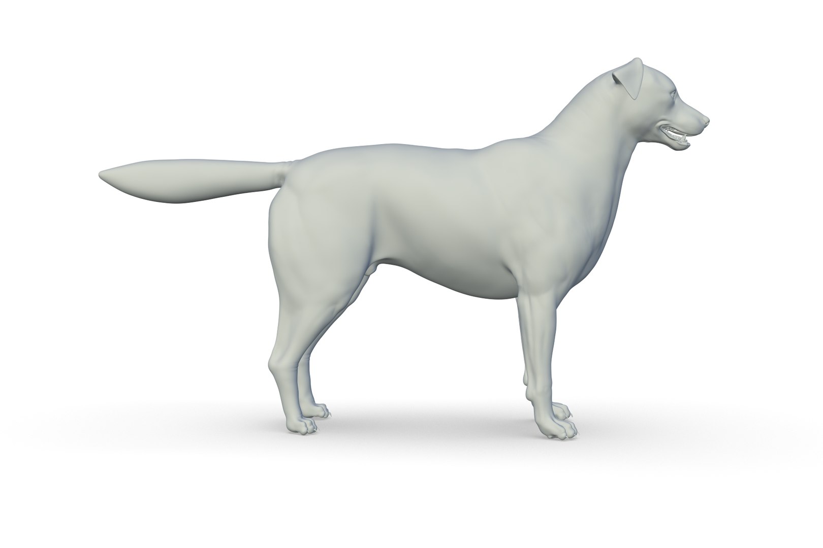 3D Border Collie https://p.turbosquid.com/ts-thumb/iB/hu1om4/Fx/render_09/jpg/1712494441/1920x1080/fit_q87/c3c880ace919657602c63999d33dcee4ffb8f01c/render_09.jpg