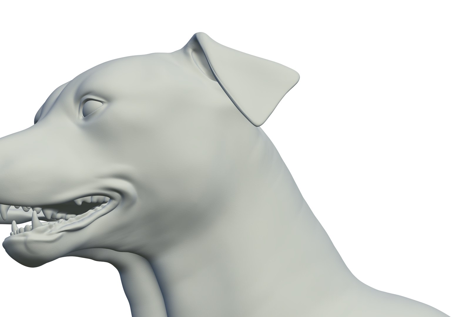 3D Border Collie https://p.turbosquid.com/ts-thumb/iB/hu1om4/Ma/render_15/jpg/1712494445/1920x1080/fit_q87/272cc8b5f0ea9b9bfa7fb378c5725e5ab22b9344/render_15.jpg