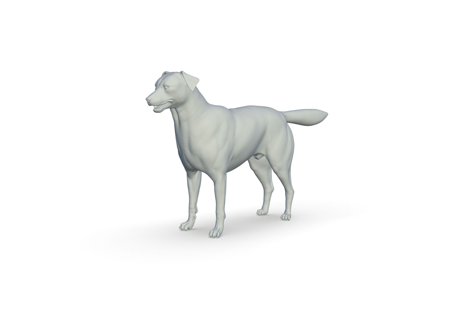 3D Border Collie https://p.turbosquid.com/ts-thumb/iB/hu1om4/O8/turntable/jpg/1712494394/1920x1080/turn_fit_q99/91103c0fada03affd5eb3e5550251567e716a163/turntable-1.jpg