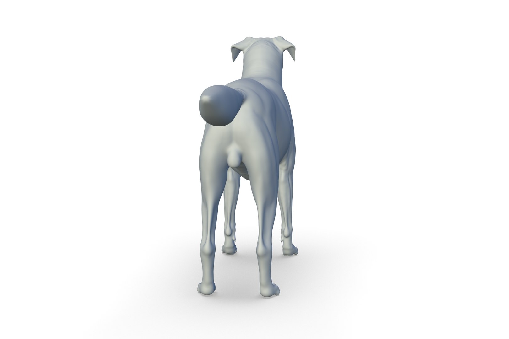 3D Border Collie https://p.turbosquid.com/ts-thumb/iB/hu1om4/Pr/render_06/jpg/1712494439/1920x1080/fit_q87/c3ea67aeb6699243aaa279d93e869e341880ee84/render_06.jpg