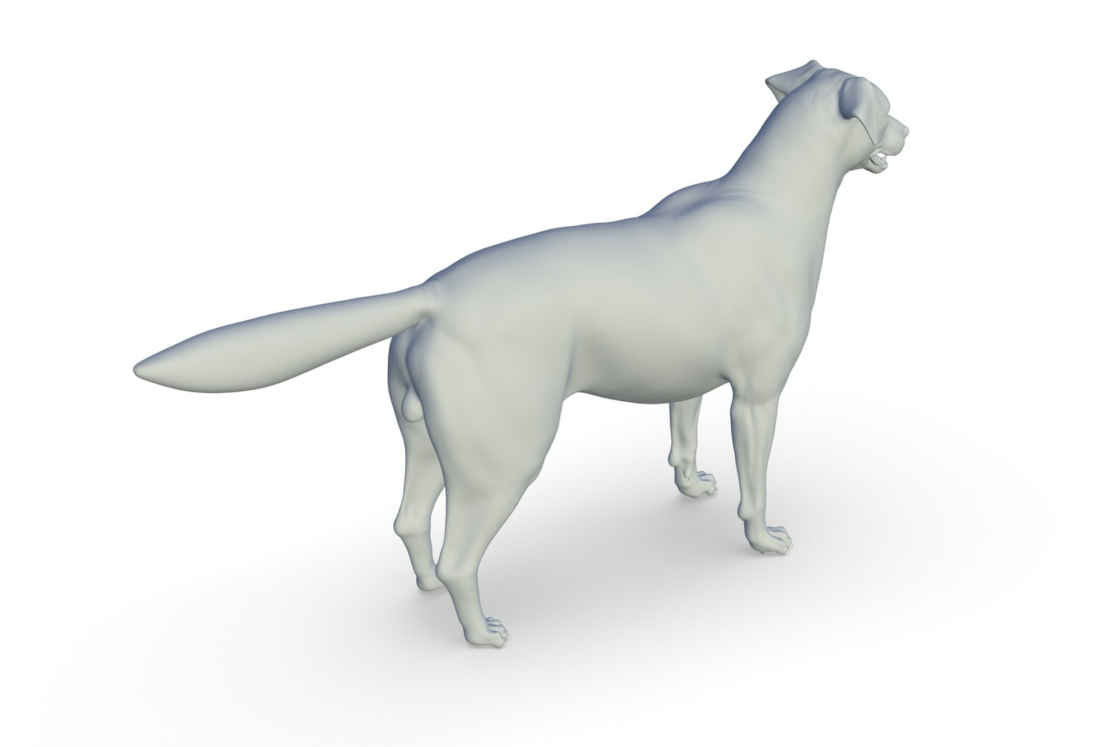 3D Border Collie https://p.turbosquid.com/ts-thumb/iB/hu1om4/Ua/render_08/jpg/1712494440/1920x1080/fit_q87/786e2a563d3aad5e5dc38b0b6bb40b3213f88832/render_08.jpg