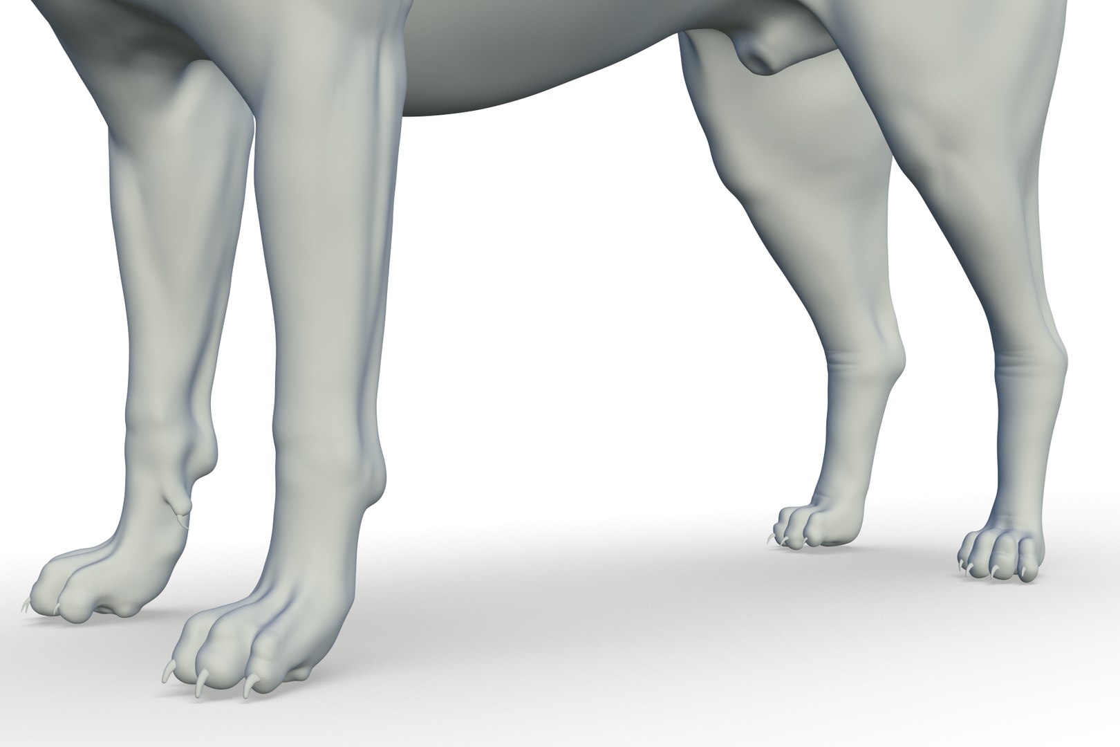 3D Border Collie https://p.turbosquid.com/ts-thumb/iB/hu1om4/d6/render_17/jpg/1712494446/1920x1080/fit_q87/ee00d3e8892cf0dd05d09107cbf6fd16dabc1143/render_17.jpg
