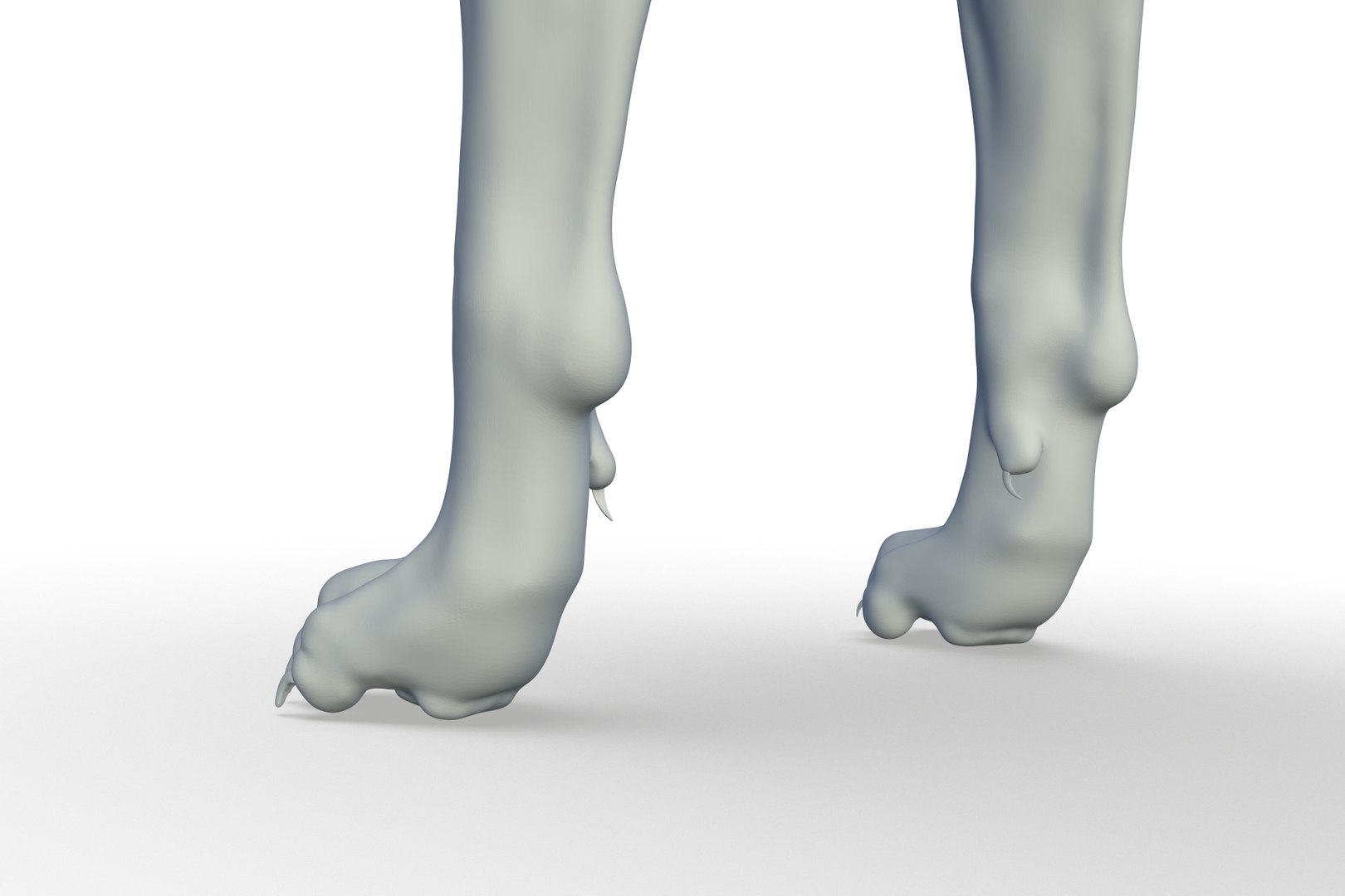 3D Border Collie https://p.turbosquid.com/ts-thumb/iB/hu1om4/hy/render_18/jpg/1712494447/1920x1080/fit_q87/55b6d15dc3fa042ddf5ff70f4ca27e7e1e97bac8/render_18.jpg