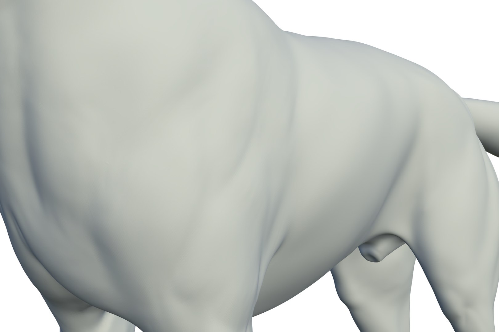 3D Border Collie https://p.turbosquid.com/ts-thumb/iB/hu1om4/jo/render_16/jpg/1712494446/1920x1080/fit_q87/e4f9be0677a9a4e9be6918a08f64c1e889b3f5b0/render_16.jpg