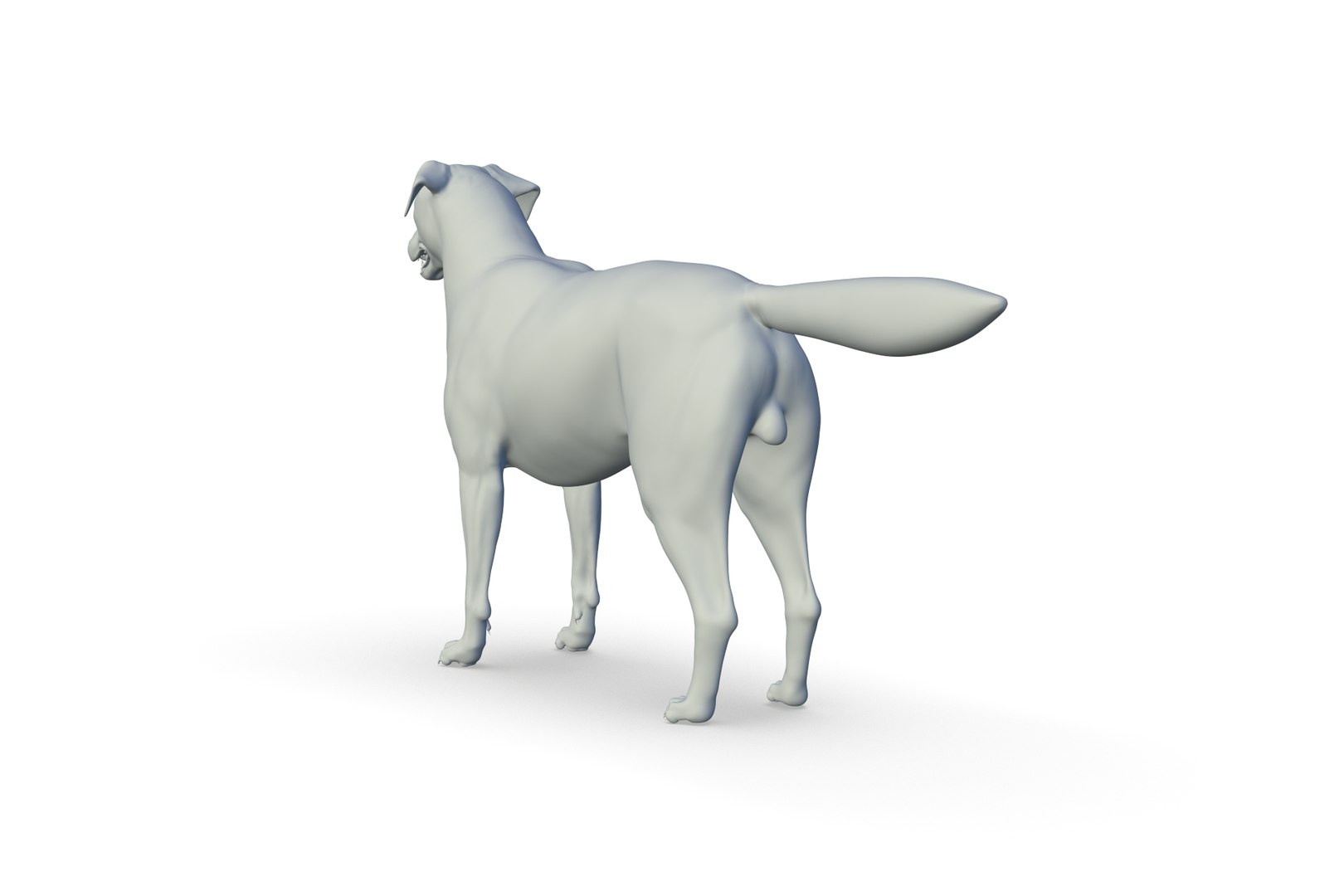 3D Border Collie https://p.turbosquid.com/ts-thumb/iB/hu1om4/o7/render_04/jpg/1712494437/1920x1080/fit_q87/cdbeb10156c490989db89f4f187c4bb3723a981b/render_04.jpg