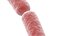 3D model bacteria bacillus