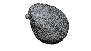 Avocado 3D CT scan model decimate 50 percent 3D model