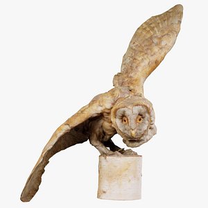 Barn Owl Tyto Alba Remastered