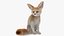 Vulpes Zerda Sitting Pose Fur 3D model