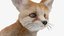 Vulpes Zerda Sitting Pose Fur 3D model