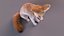 Vulpes Zerda Sitting Pose Fur 3D model