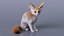 Vulpes Zerda Sitting Pose Fur 3D model