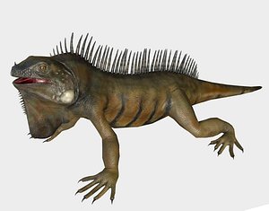 iguana polys 3D model