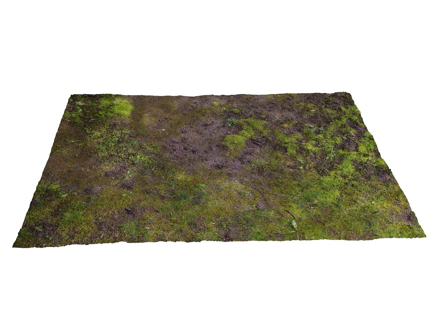 forest ground 16k hd 3d max https://p.turbosquid.com/ts-thumb/iC/jPdUrc/QDXIOqlD/222/jpg/1477948513/1920x1080/fit_q87/a5e278ab8e0f5275faaefc2cf811fe1da27972d8/222.jpg