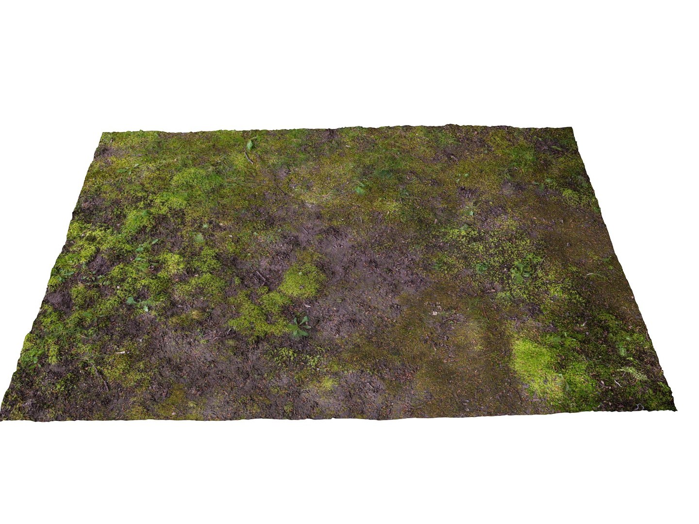 forest ground 16k hd 3d max https://p.turbosquid.com/ts-thumb/iC/jPdUrc/fVNcQOUH/897899/jpg/1477948509/1920x1080/fit_q87/79110ae5015aa5c423f849d0bcfe7f2a9a9cdc2c/897899.jpg