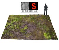 Forest ground 16K Ultra HD