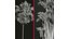 Borassus Flabellifer 和 Cyrtostachys Renda