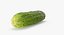 Gurke 01 Hallo Poly